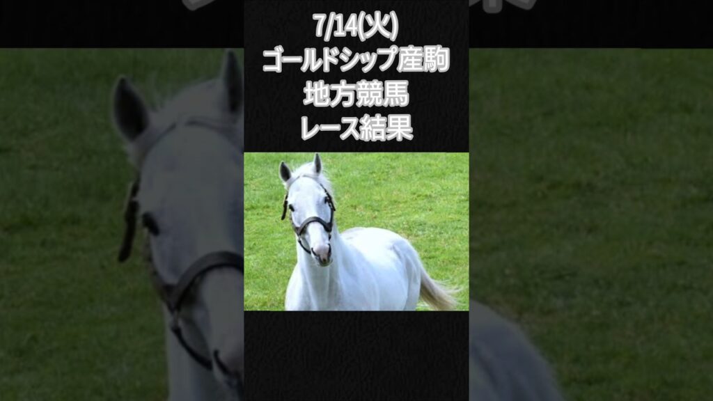 7/14(火)ゴルシ産駒地方レース結果