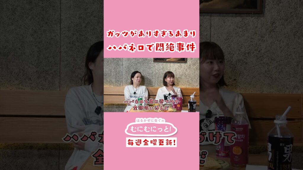 【放送事故】アキナ山名、ガッツがありすぎてハバネロで大悶絶事件！？ #はるかぜに告ぐ #むにむにっと #アキナ
