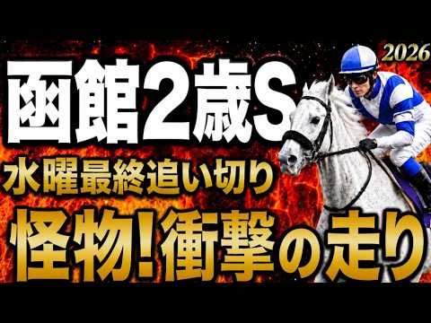 【函館2歳ステークス2026競馬予想】水曜最終追い切り評価｜有力馬診断｜軍師AI競馬予想｜ダイメイビッグボス、シグレの上位陣は？相手候補、穴で残したい馬最終段階での序列は見えた買う馬と危険馬が確定