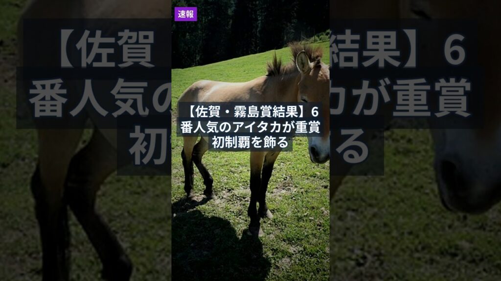 【競馬速報！】2026年7月16日 【佐賀・霧島賞結果】6番人気のアイタカが重賞初制覇を飾る #Shorts