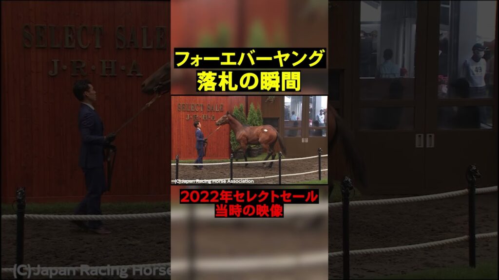 ダート王フォーエバーヤング、1歳時のセレクトセール#競馬  #horse  #セレクトセール  #shorts