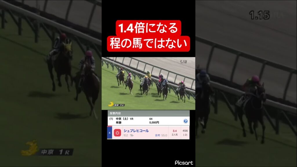 【過剰人気】1人気が1.4倍になるほどの馬ではないので軽視した結果… #競馬