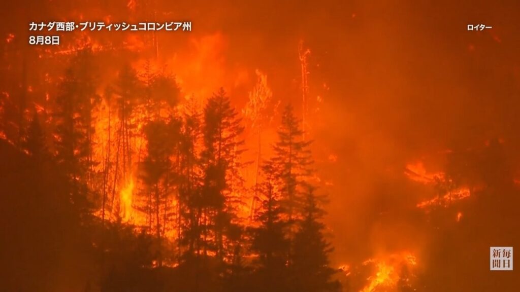 カナダ西部　大規模山火事で非常事態宣言