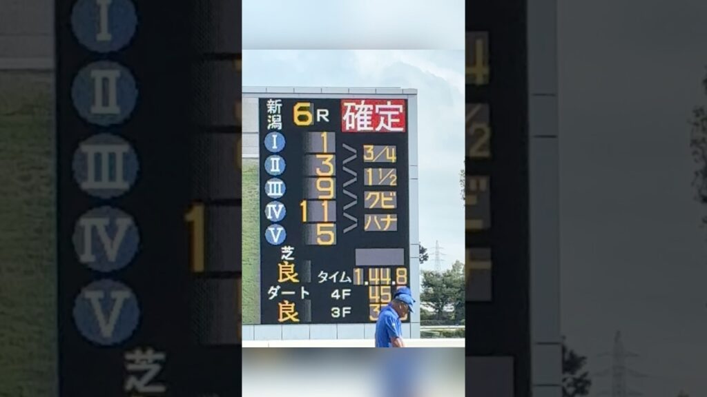ライヒスアドラー見に新潟競馬場行って見た　#競馬 #現地映像 #ライヒスアドラー