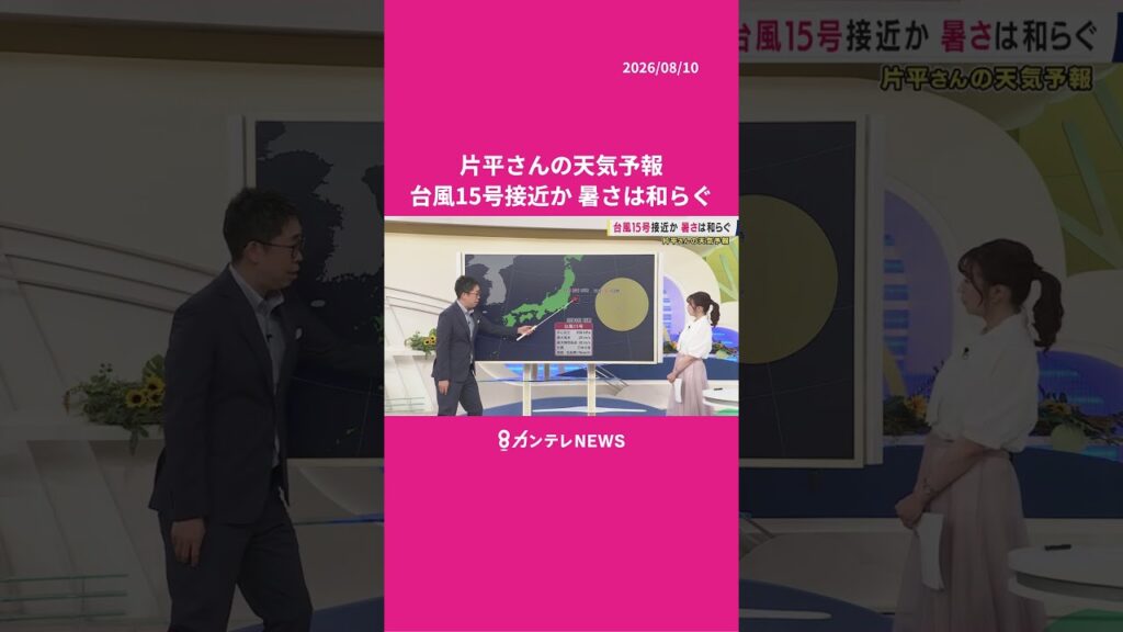 【8/11(火)の天気】台風15号接近か 暑さは和らぐ　#news #天気 #ニュース