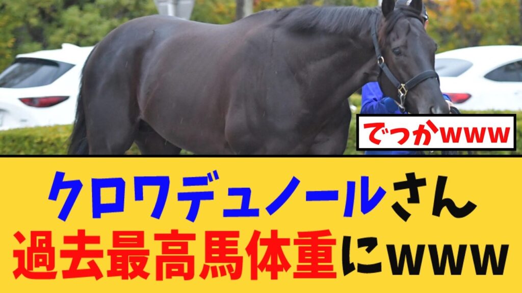 【デブ】「クロワデュノールさん、過去最高馬体重にwww、どすこい化が止まらないwww」に対する競馬民の反応集