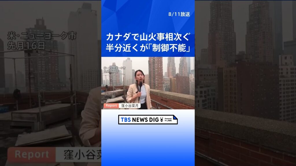 カナダ西部で相次ぐ山火事　半分近くが「制御不能な状態」で非常事態宣言発令　トランプ大統領「アメリカに有害な空気が流入」｜TBS NEWS DIG #shorts