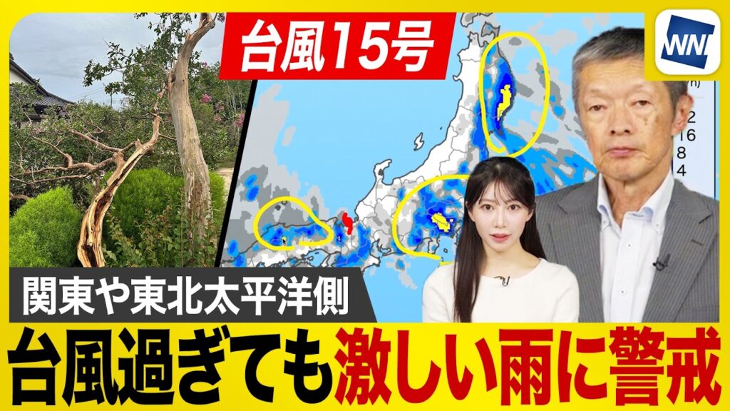 【台風15号 2026年】台風離れても関東や東北太平洋側で強雨リスク 倒木や街路樹折れる被害も（12日6時更新）