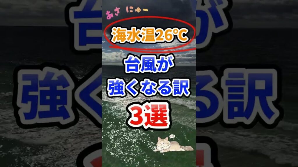 台風のエネルギー源、何だと思いますか？