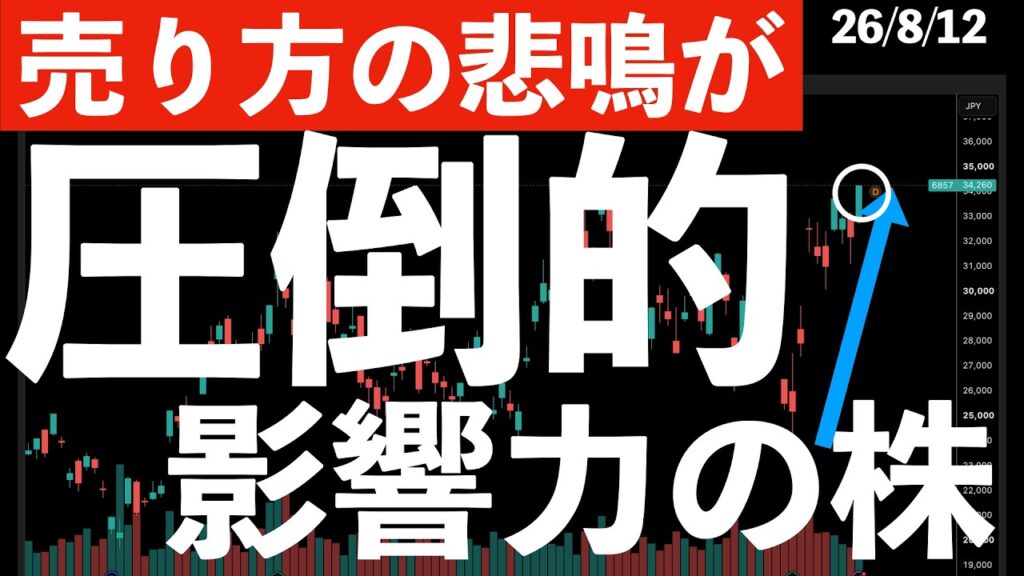 【売り方の悲鳴が】圧倒的影響力を持つあの株の需給が！　#米国株 #日経平均 #sp500 #soxl #nvda