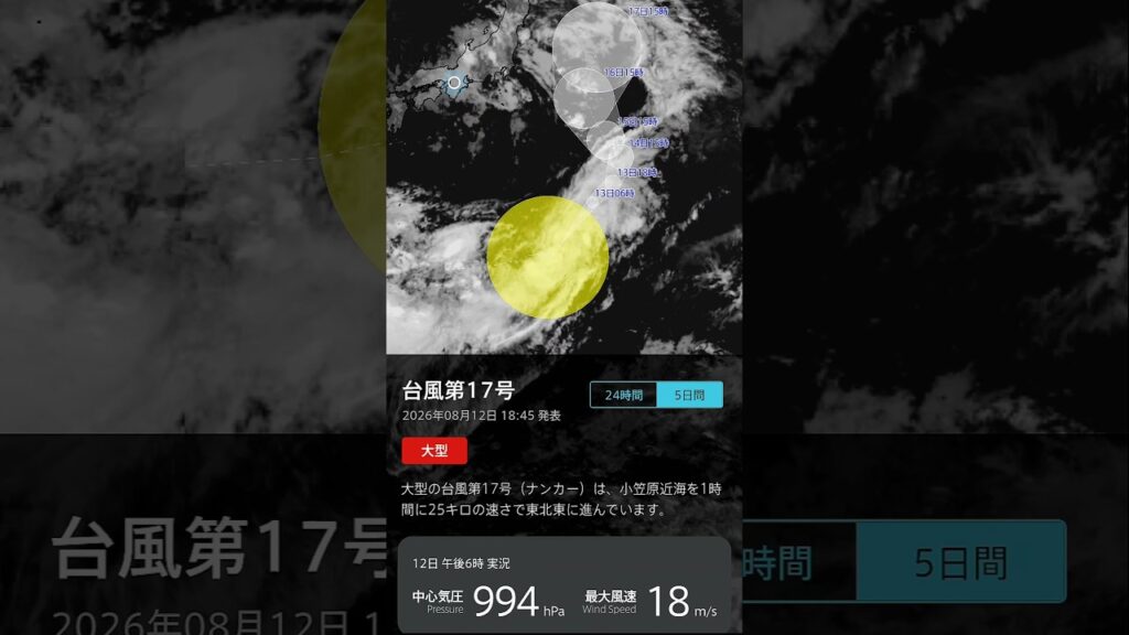 台風第17号・高温・大雨/落雷/突風