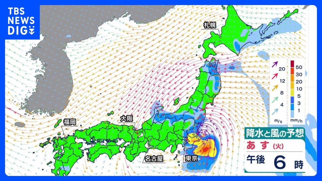 台風15号は11日に東北から関東へ最接近、夜は関東や福島県で雨強まる所も　沿岸を中心に強風や高波にも注意【台風情報】｜TBS NEWS DIG
