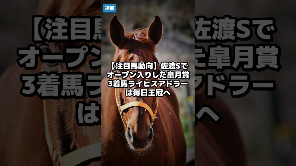【注目馬動向】佐渡Sでオープン入りした皐月賞3着馬ライヒスアドラーは毎日王冠へ｜競馬情報 2026年8月13日 #Shorts