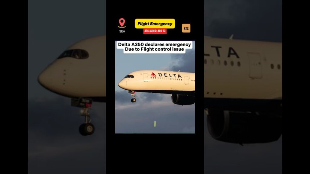 Delta A350 declares emergency after Flight control issue @D@Deltaaviation