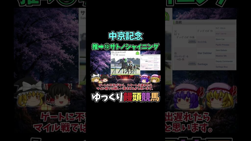 中京記念　【競馬予想・結果発表】