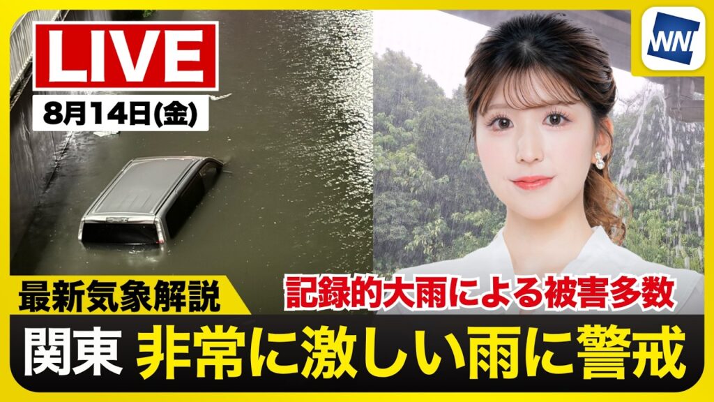【ライブ】最新天気ニュース・地震情報 2026年8月14日(金)20:00〜 ／全国各地で雨雲が急発達　激しい雷雨に要注意〈ウェザーニュースLiVEムーン・小林李衣奈／宇野沢達也〉