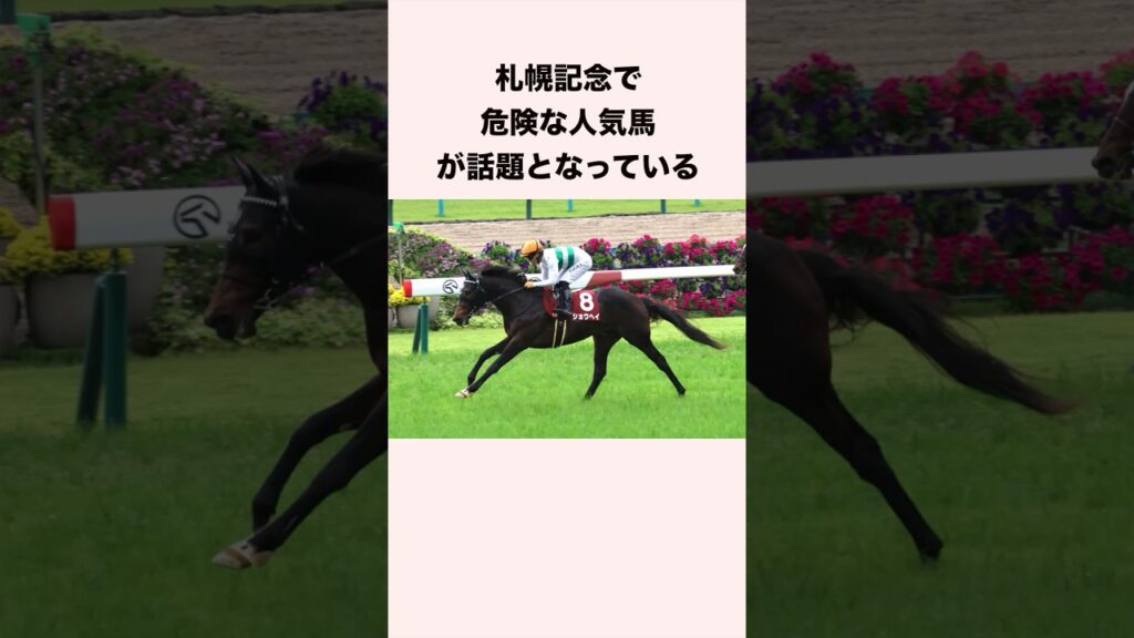 札幌記念で危険な人気馬が話題となっている #競馬 #競馬予想 #shorts