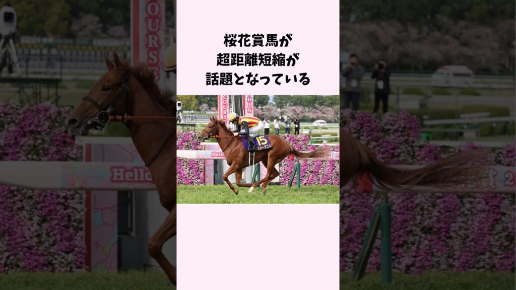 桜花賞馬が超距離短縮が話題となっている　#競馬　#競馬予想　#スターアニス　#shorts