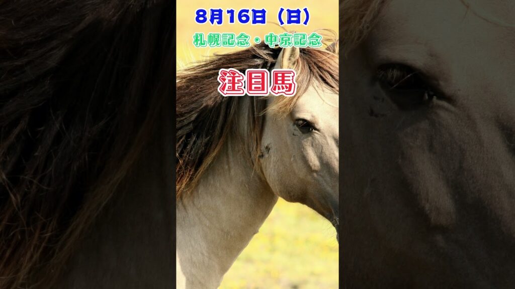 中央競馬予想　8月16日　注目馬#shorts
