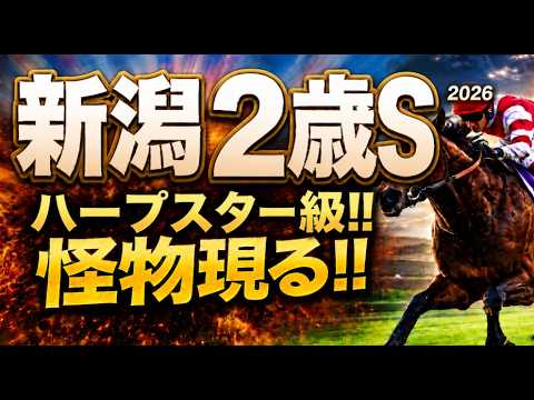 【新潟２歳ステークス2026競馬予想】1週前追い切り有力馬診断｜今回は軍師AI指数、追い切り評価、前走内容、血統背景まで含めて有力馬の現在地を1頭ずつ徹底的に診断整理、買いたい馬と少し疑って見たい馬