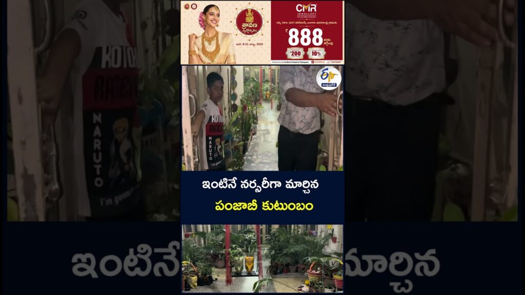 ఇంటినే నర్సరీగా మార్చిన పంజాబీ కుటుంబం