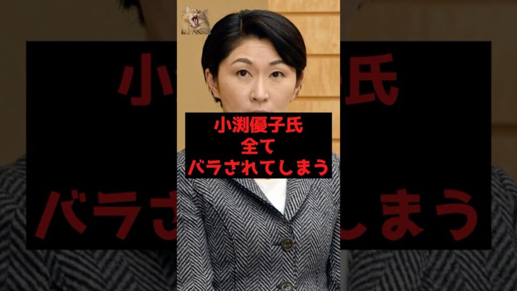 【速報】小渕優子氏、全てバラされてしまう