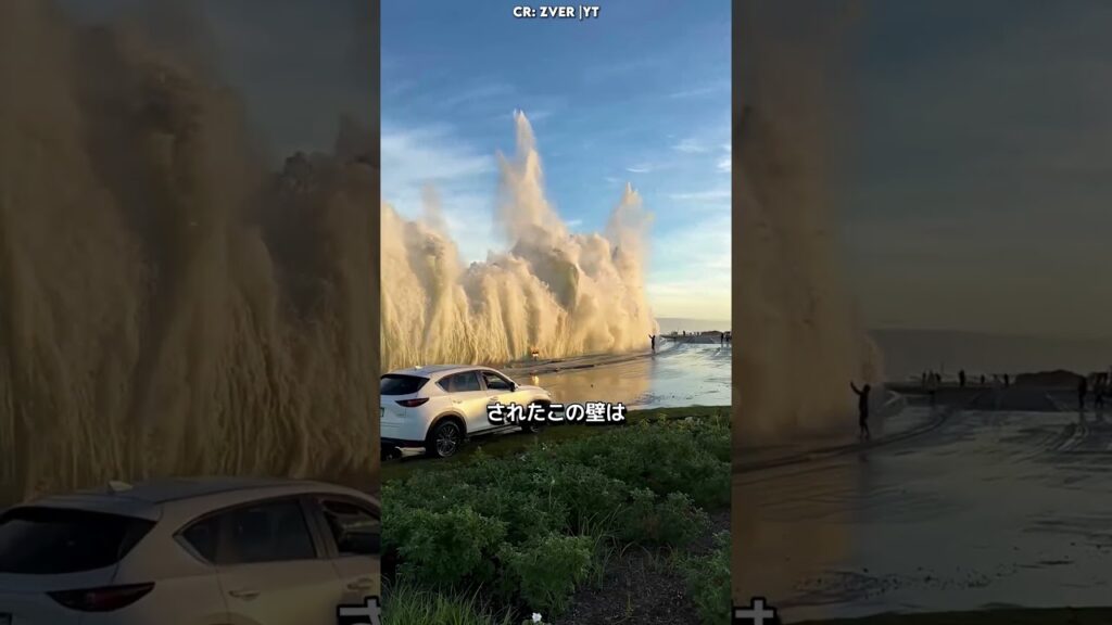 津波をこうやって食い止めている 🌊🧱