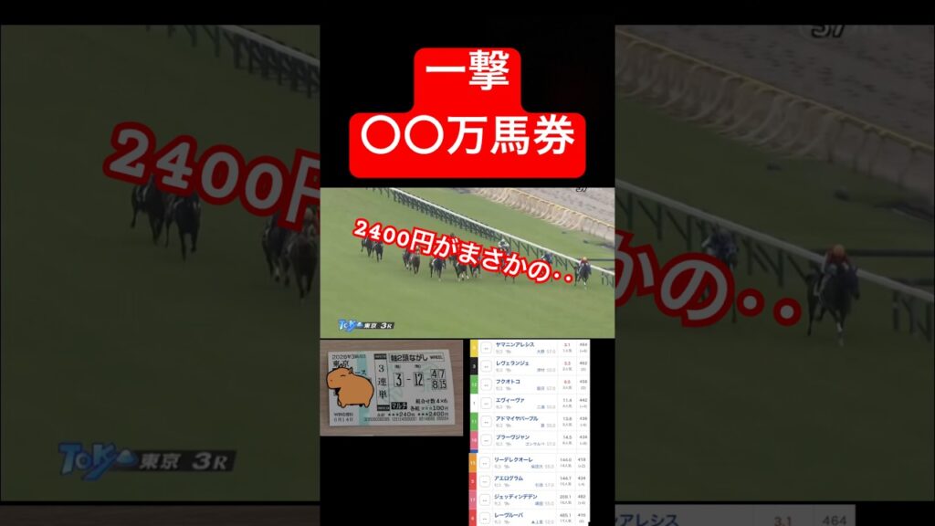 ［一撃］2頭軸マルチで24点で勝負した結果・2400円→〇〇万円！？