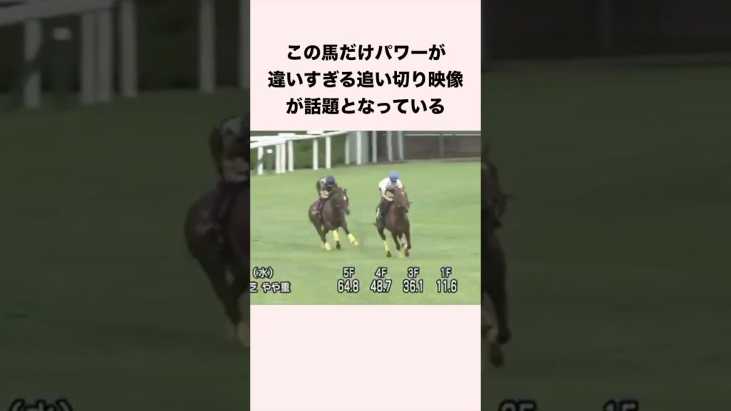 この馬だけパワーが違いすぎる追い切り映像が話題となっている #競馬 #競馬予想 #shorts