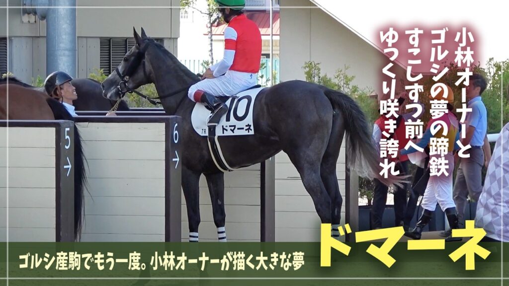 【ゴールドシップ産駒】小林オーナーの夢の続きを！ゴルシッ子たちと共に目指す道【ドマーネ】