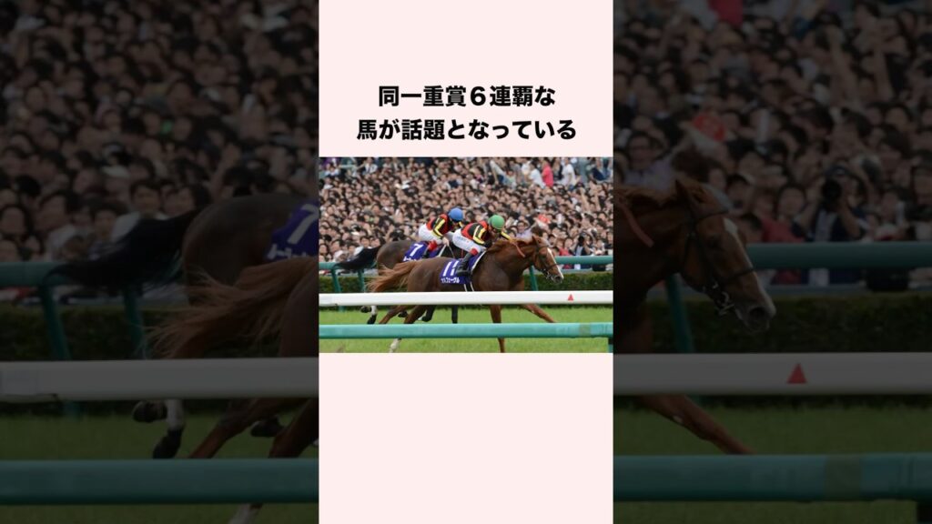 同一重賞６連覇な馬が話題となっている #競馬 #競馬予想 #shorts