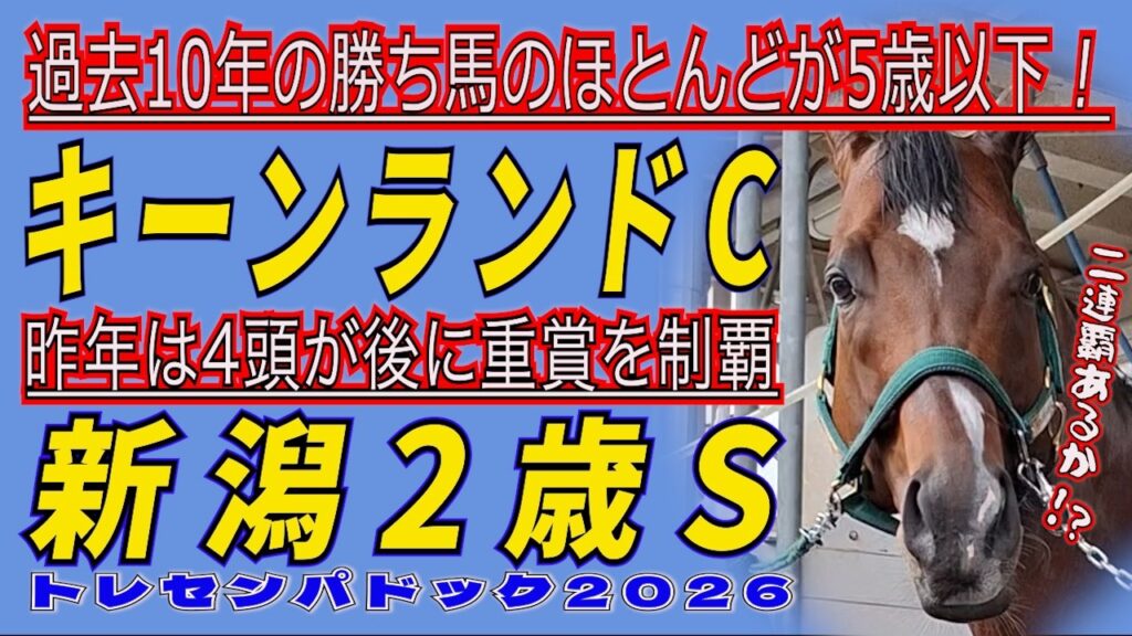 《キーンランドC》過去10年の勝ち馬のほとんどが5歳以下。差し馬優勢！《新潟2歳S》昨年は4頭が後に重賞を制覇！/ 出走馬を見て相馬眼を磨き、勝馬を探す『🉐動画』【トレセンパドック2026】