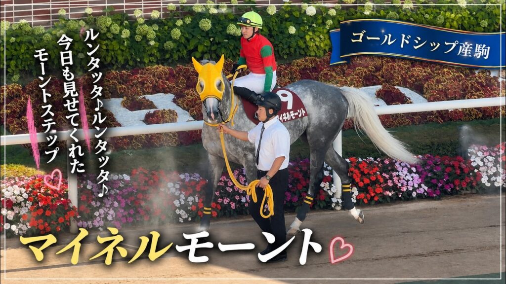【ゴールドシップ産駒】パドックで披露するトコトコステップが可愛い【マイネルモーント】