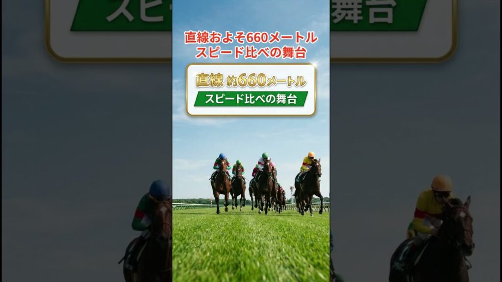 【新潟2歳ステークス】"上がり勝負"を制した4頭の共通点 #競馬 #競馬予想 #中央競馬予想