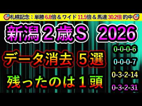 新潟2歳ステークス2026 【消去データ5選】　最後まで残ったのは1頭