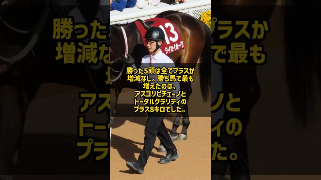 馬体重が減っていた馬は何頭勝ったのか 新潟2歳S 5年で11頭が0勝 #Shorts