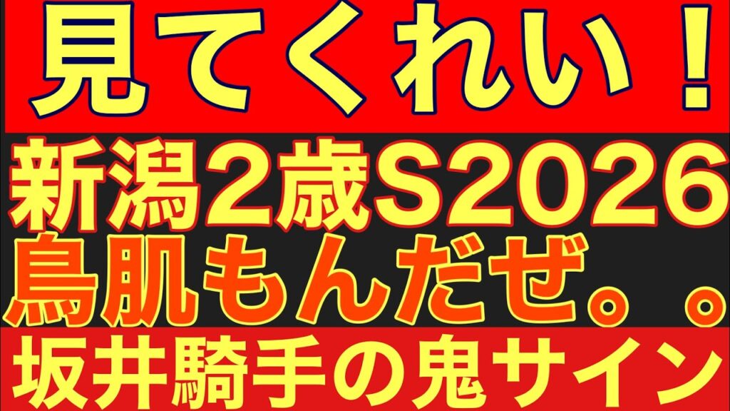 【新潟2歳ステークス2026サイン②】「超高確率サイン」の該当馬とは?坂井騎手だけを見ろ!#競馬 #新潟2歳ステークス 【新潟2歳ステークス2026サイン②】「超高確率サイン」の該当馬とは?坂井騎手だけを見ろ!#競馬 #新潟2歳ステークス
