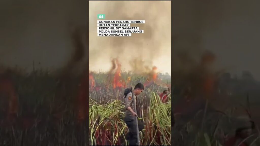 Menembus Hutan Terbakar, Ditsamapta Polda Sumsel Berjibaku Padamkan Karhutla