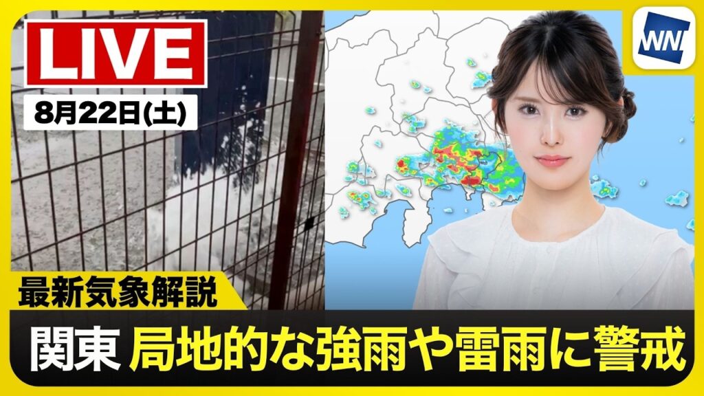 【ライブ】最新天気ニュース・地震情報 2026年8月22日(土) ／ゲリラ雷雨で都心でも冠水多発　安全を優先して行動を〈ウェザーニュースLiVEムーン・小川千奈／芳野達郎〉