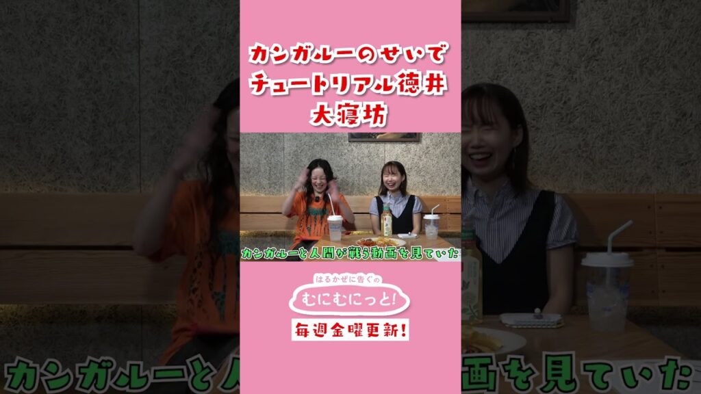 【放送事故】カンガルーの動画に夢中で生放送「せやねん！」に大遅刻したチュートリアル徳井ｗｗ #はるかぜに告ぐ #チュートリアル #shorts