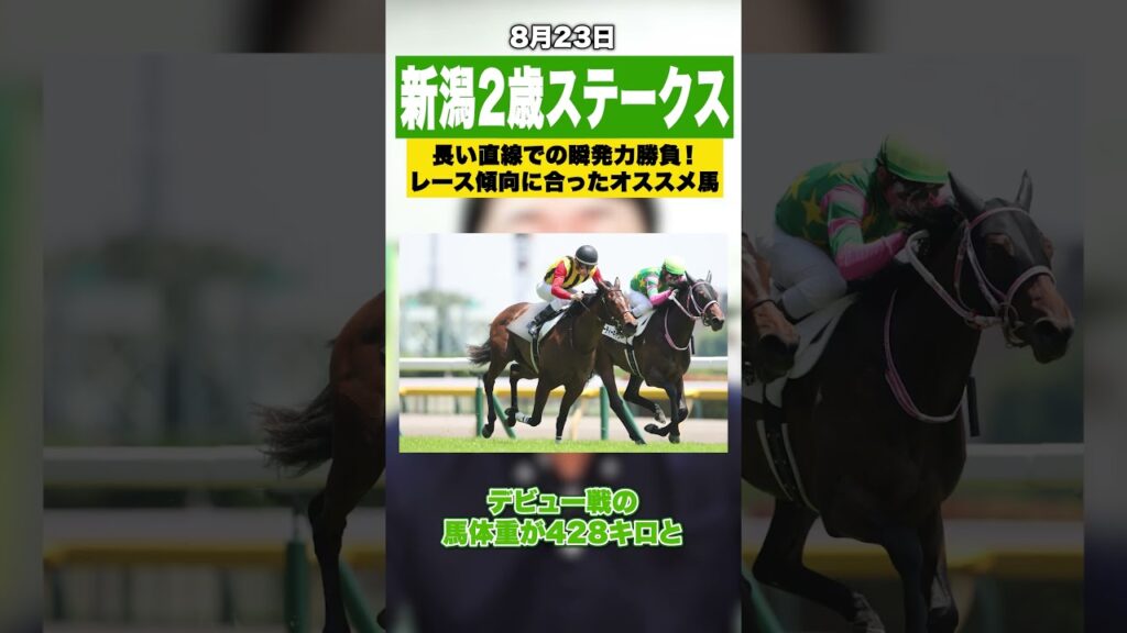 【競馬】新潟2歳ステークスで要注目の1頭をご紹介!長い直線での瞬発力勝負に向いた馬体 【競馬】新潟2歳ステークスで要注目の1頭をご紹介!長い直線での瞬発力勝負に向いた馬体