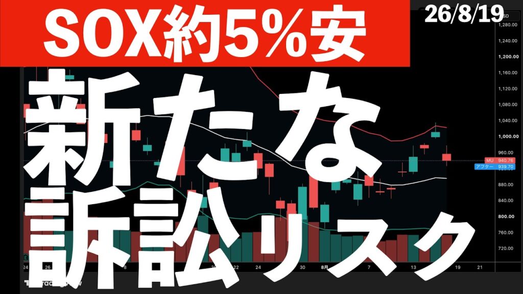 【SOX約5％の下落】マイクロンに訴訟リスク！日経への影響は？　#米国株 #日経平均 #sp500 #soxl #nvda