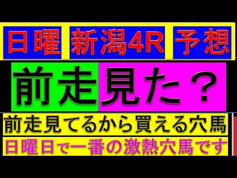 【平場予想】2026年 8月23日 新潟4R 予想【前走見ていれば買わざるを得ない/新潟4レース】