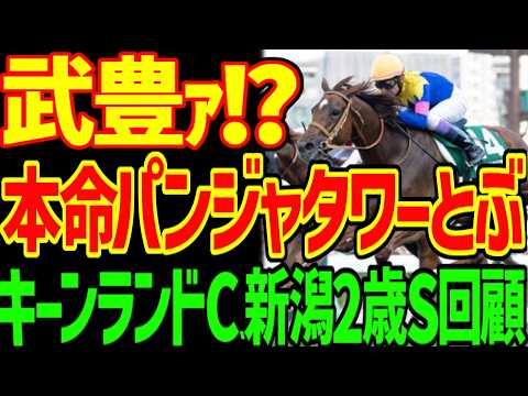 【武豊ｧ！？サウンドモリアーナ！？】パンジャタワー松山弘平…単勝1.9倍でとぶ…レッチュベルクは読めていた系逆神でオケラ…2026年キーンランドC、新潟2歳S回顧動画【競馬ゆっくり】