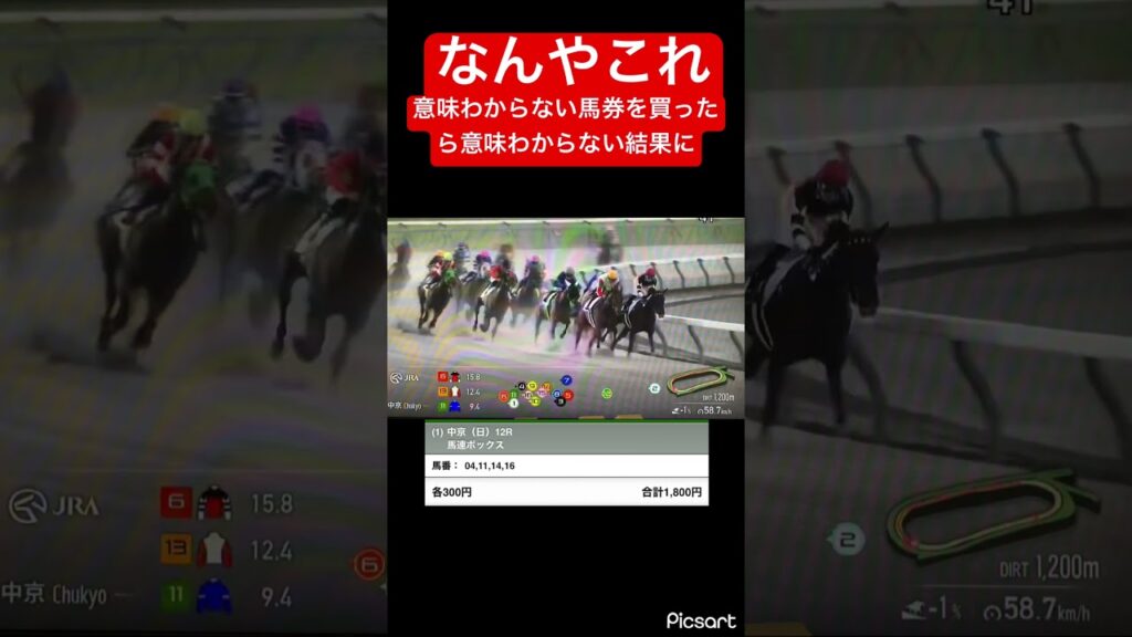 【何これ】意味わからん馬券を買ったら意味わからない結果に… #競馬
