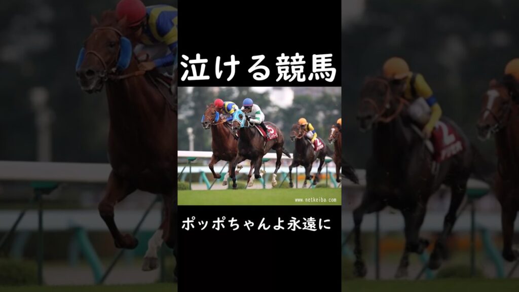 【泣ける競馬】ポッポちゃんよ永遠に【ゆっくり解説】#shorts #競馬 #札幌記念