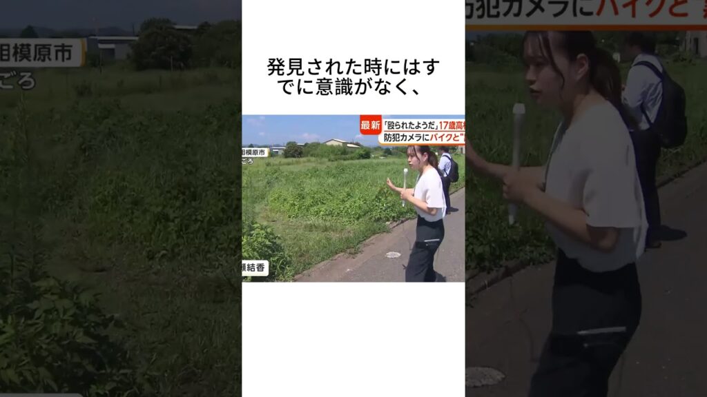 #ニュース #話題 #速報