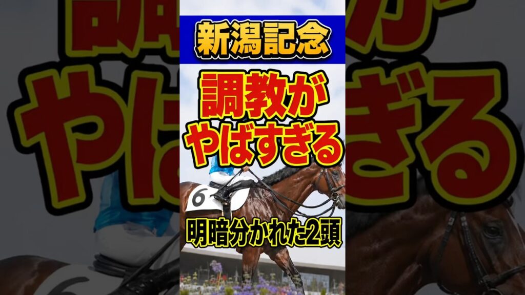 【新潟記念2026】この2頭、一週前追い切りがヤバすぎる…#競馬 #競馬予想 #新潟記念 #調教