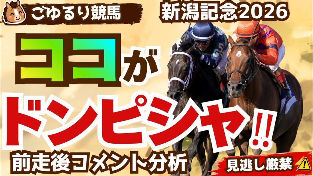 【絶好舞台】新潟記念2026 前走後コメント集【競馬予想】