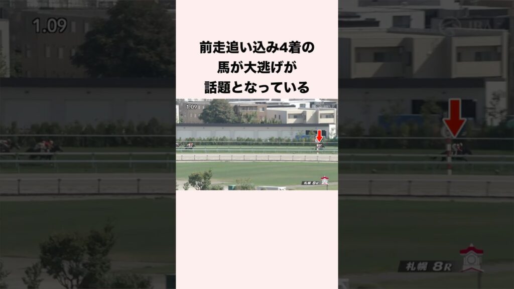 前走追い込み4着の馬が大逃げが話題となっている #競馬 #競馬予想 #shorts